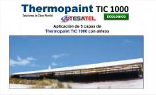 Thermopaint TIC 1000