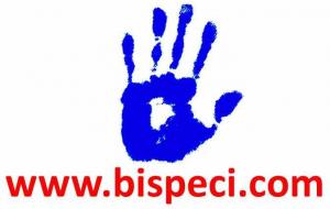 BUFETE INTEGRAL EN SEGURIDAD PUBLICA, EMPRESARIAL Y CIVIL (www.bispeci.com)